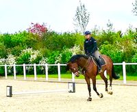 Training auf Hofgut Dagobertshausen